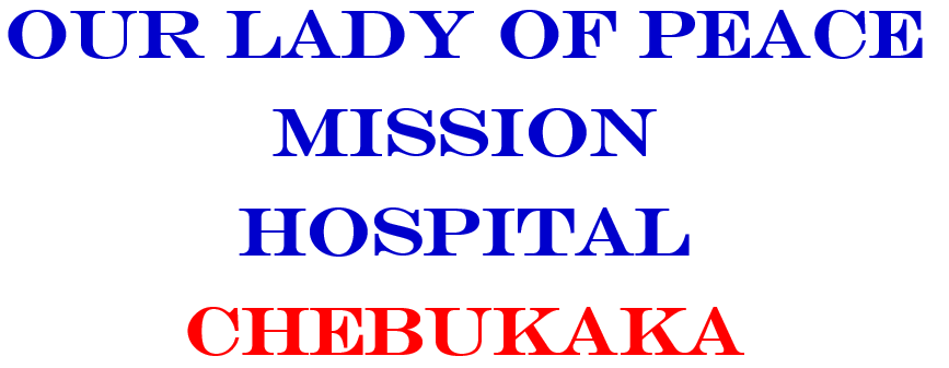 Front Logo
